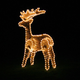 Illustration for article titled How Much Does it Cost to Power Your Christmas Lights?